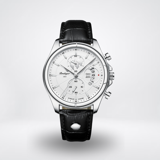 Vittorio Zenith - Silver Snow